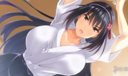 日本巨乳动漫,日本次文化中的独特审美与市场现象